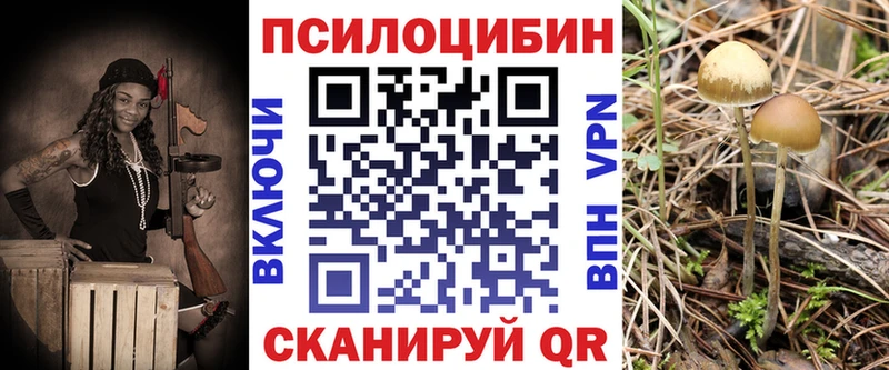 Галлюциногенные грибы MAGIC MUSHROOMS  Ужур 